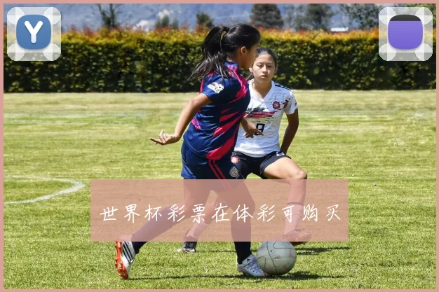 世界杯彩票在体彩可购买