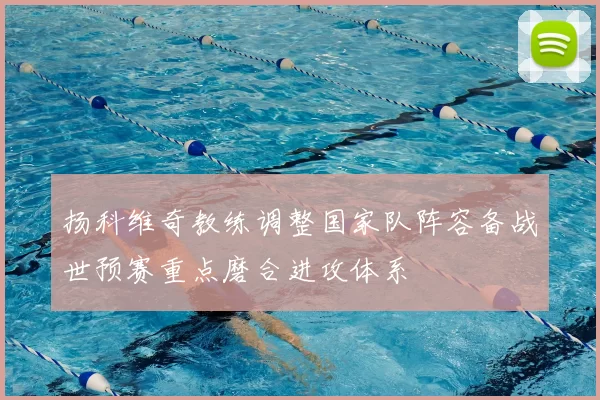 扬科维奇教练调整国家队阵容备战世预赛重点磨合进攻体系
