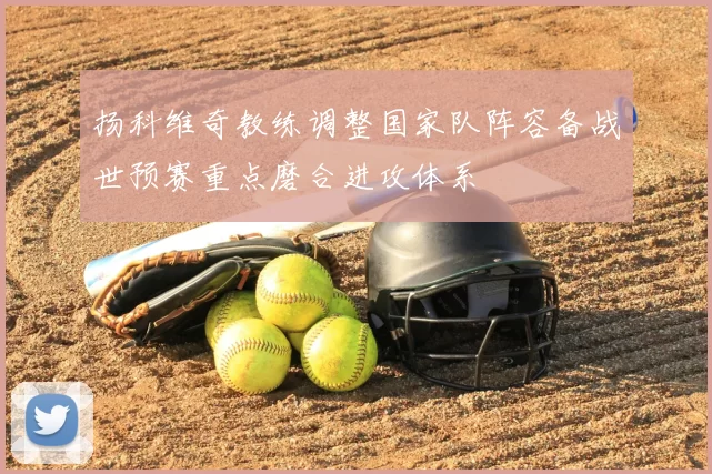 扬科维奇教练调整国家队阵容备战世预赛重点磨合进攻体系